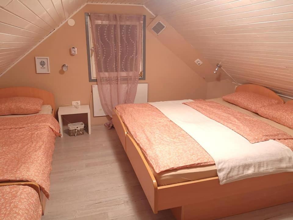 Appartement App Gaia Maia, Terme Catez à Catez ob Savi Extérieur photo